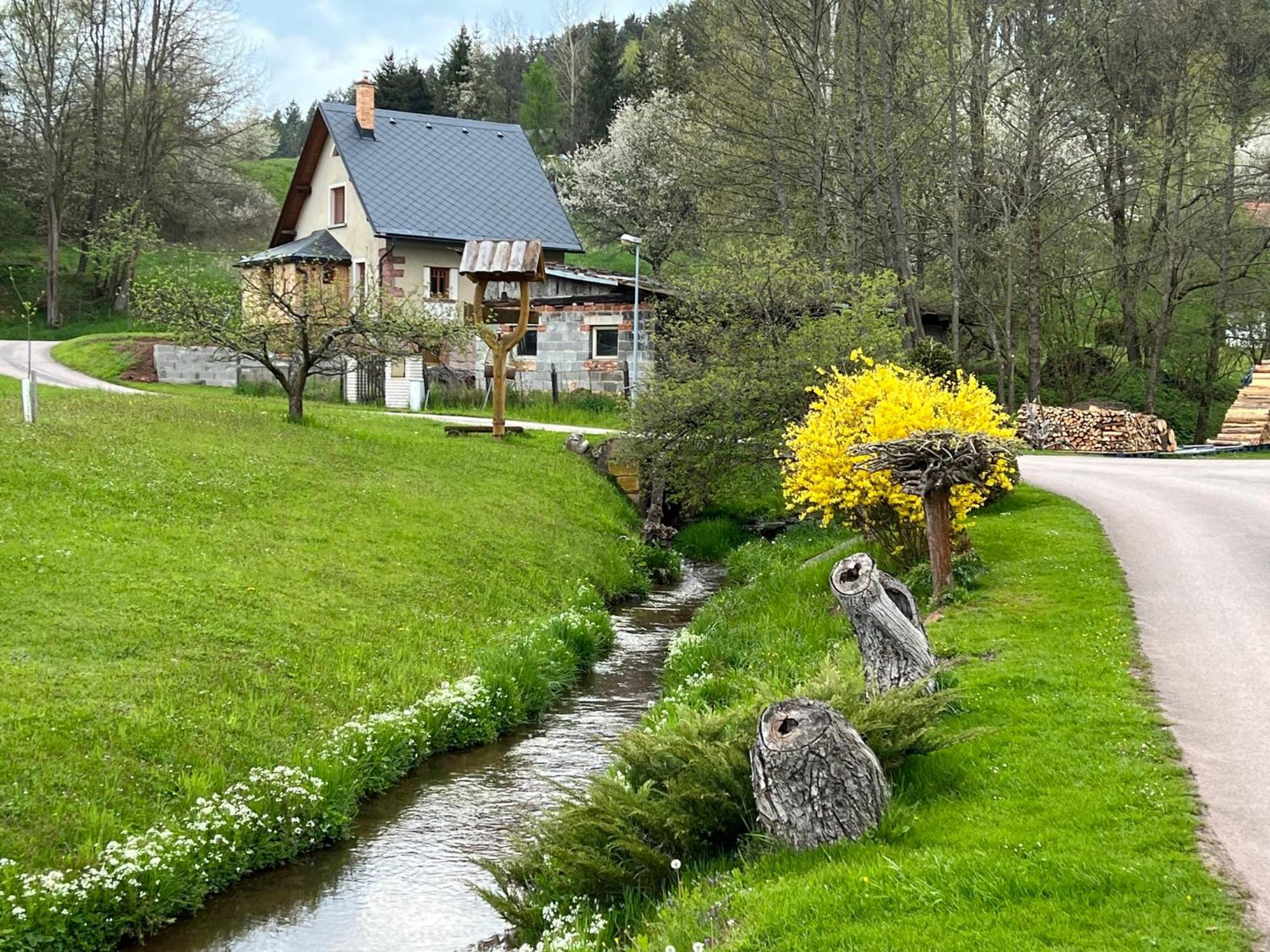 Little Cottage No.100 Vidochov Exterior photo